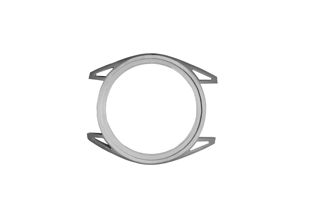 Metal watch-case application model from the product library